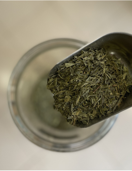 TÈ VERDE BANCHA Bio
