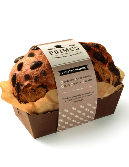 PANETTO "Primus" CIOCCOLATO