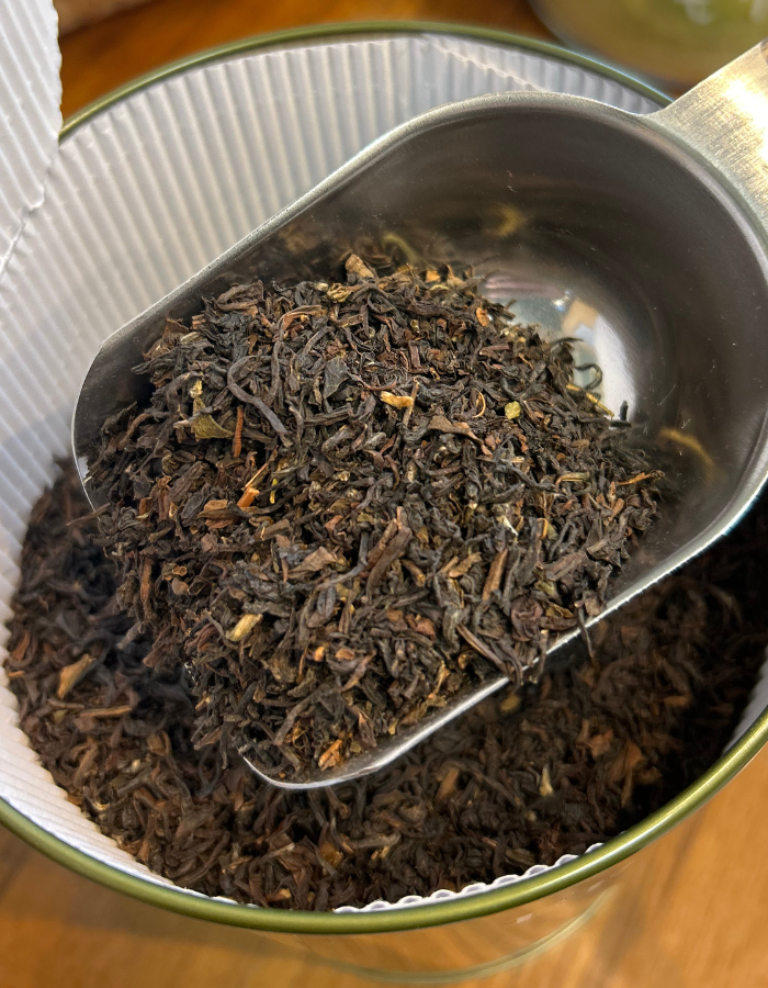 TE NERO Darjeeling