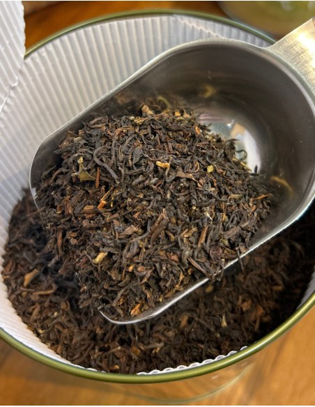 TE NERO Darjeeling