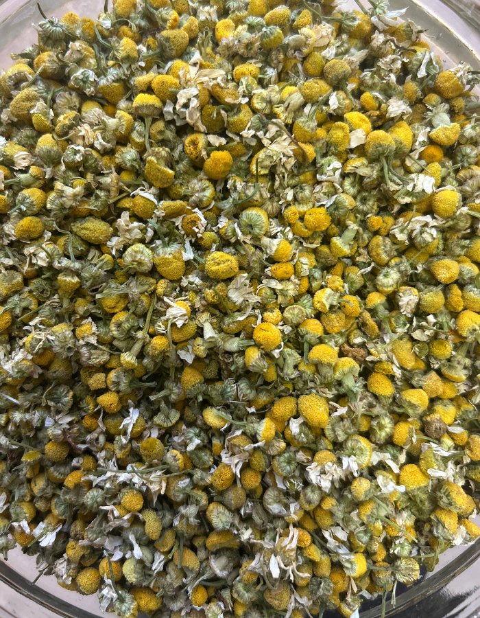 CAMOMILLA bio