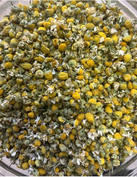 CAMOMILLA bio
